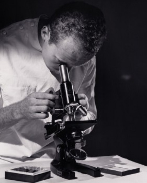 Close-up of a scientist looking through a microscope Poster Print