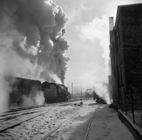 Steam train on move Poster Print