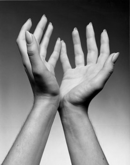 Close-up of a person's hand pleading Poster Print - Item # VARSAL2554253