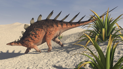 Kentrosaurus walking across a barren landscape Poster Print - Item # VARPSTKVA600288P