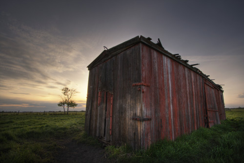 An Abandoned Railway Boxcar Converted To A Storage Shed At Sunset, North Of Edmonton, Alberta PosterPrint - Item # VARDPI2035307
