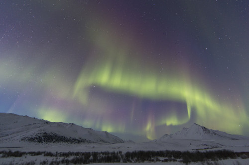 Aurora Borealis At Twilight Above Angelcomb Mountain Along The Dempster Highway; Yukon, Canada PosterPrint - Item # VARDPI2353388