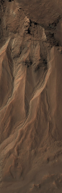 Gullies at the Edge of Hale Crater, Mars Poster Print