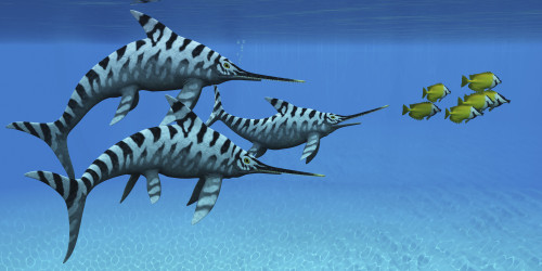 A group of fast swimming Eurhinosaurus marine reptiles from the Jurassic period of Europe, following a school of small fish Poster Print - Item # VARPSTCFR200234P