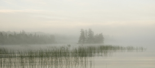 Lake Of The Woods, Ontario, Canada PosterPrint - Item # VARDPI1836688