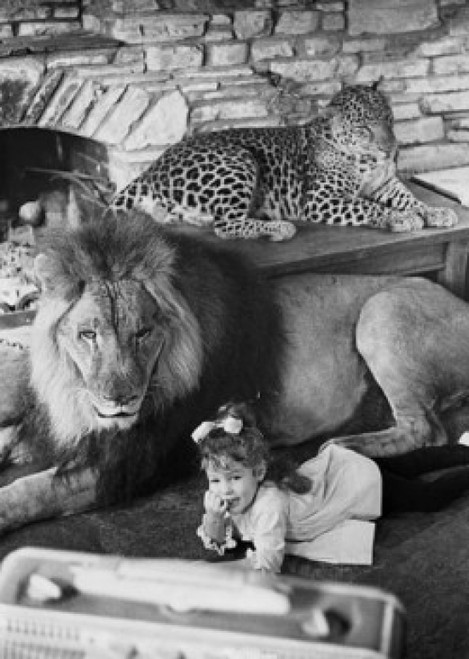 Portrait of a girl lying near a lion and a leopard lying behind them Poster Print - Item # VARSAL9901830