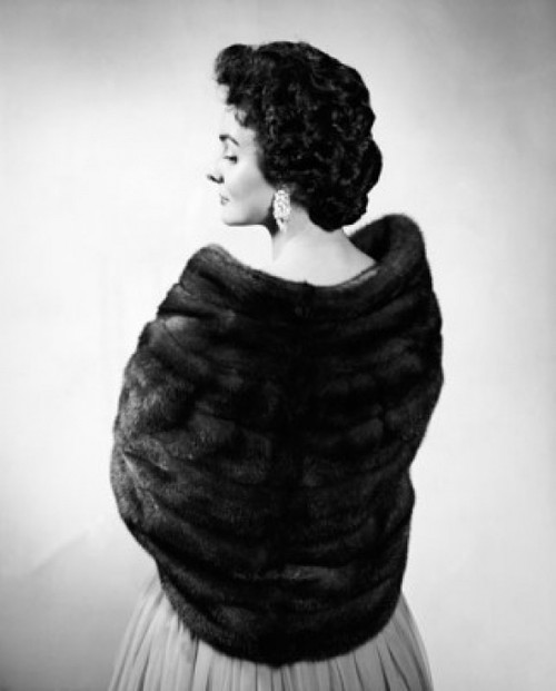 Rear view of a young woman wearing a fur shawl Poster Print - Item # VARSAL25527242