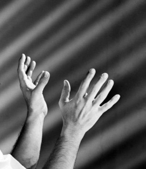 Studio shot of male hands Poster Print - Item # VARSAL25549423