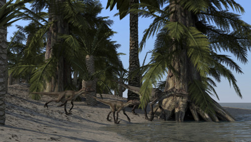 A family of Utahraptors along the shoreline Poster Print - Item # VARPSTKVA600091P