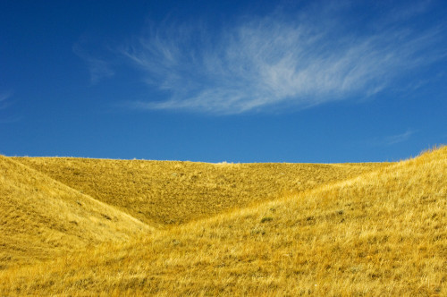 Hills And Clouds, Cypress Hills, Saskatchewan PosterPrint - Item # VARDPI2026204