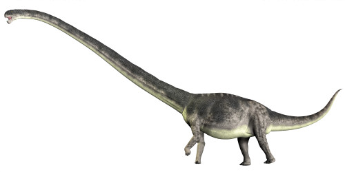 Omeisaurus is a herbivorous sauropod dinosaur that lived during the Jurassic Period of China Poster Print - Item # VARPSTCFR200378P