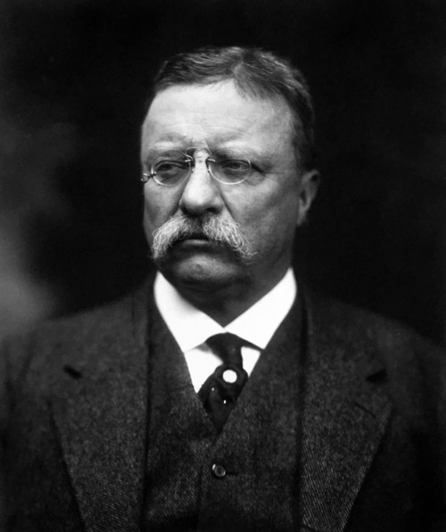 Digitally restored vector portrait of Theodore Roosevelt Poster Print - Item # VARPSTJPA100270M