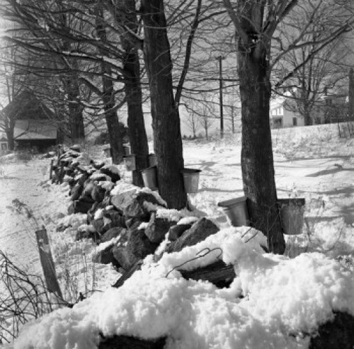 Winter landscape Poster Print - Item # VARSAL255418205