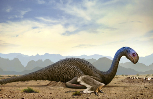 Gigantoraptor, a genus of giant oviraptorosaurian theropod dinosaur from the Cretaceous Period Poster Print - Item # VARPSTMHA600019P