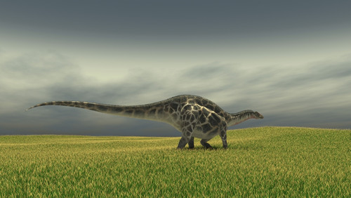 Dicraeosaurus walking across a grassy field Poster Print