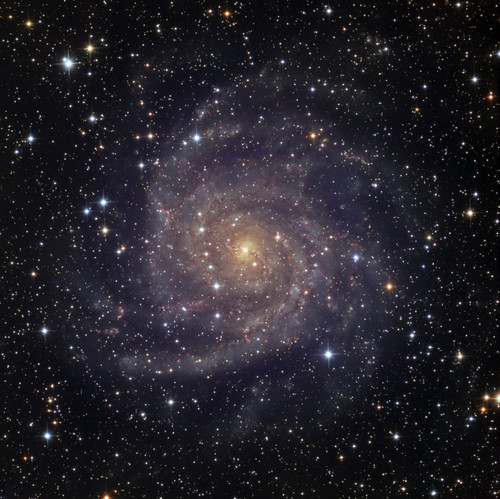 IC 342, an intermediate spiral galaxy in the constellation Camelopardalis Poster Print - Item # VARPSTCRA100026S