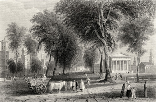 Yale College Newhaven Connecticut Usa From A 19Th Century Print Engraved By J Sands After W H Bartlett PosterPrint - Item # VARDPI1839435