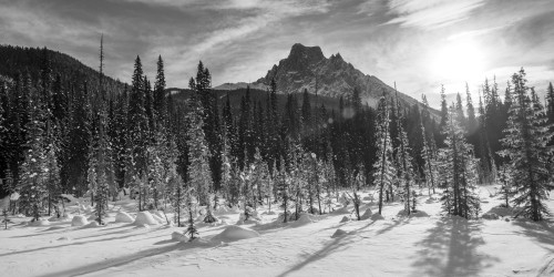 Snow on the rugged Canadian Rocky Mountains and a snow covered field, Yoho National Park; Field, British Columbia, Canada PosterPrint - Item # VARDPI12285063
