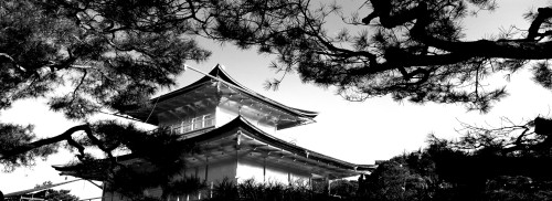 Low angle view of trees in front of a temple, Kinkaku-ji Temple, Kyoto City, Kyoto Prefecture, Kinki Region, Honshu, Japan Poster Print - Item # VARPPI171572