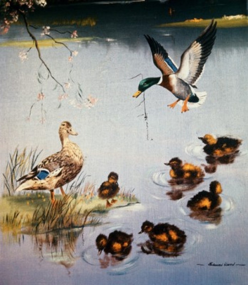 Mallards  Edward Matthew Ward Poster Print - Item # VARSAL900110134
