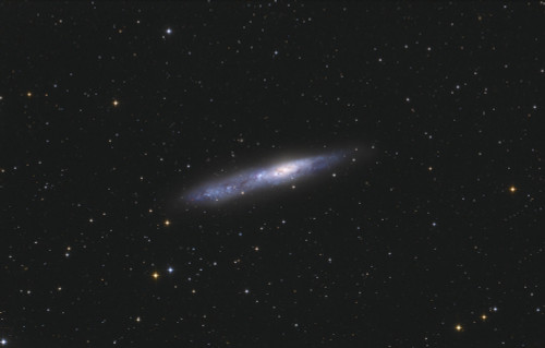 Barred spiral galaxy NGC 55 in the constellation Sculptor Poster Print - Item # VARPSTFEN200025S