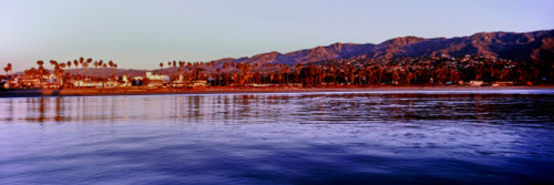 View of city at waterfront from the pier, Santa Barbara, California, USA Poster Print - Item # VARPPI164947