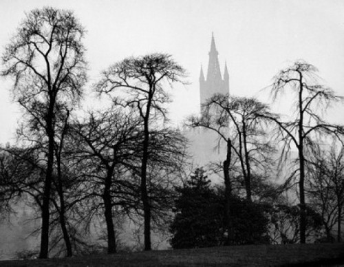 Scotland  Glasgow  Glasgow University  silhouettes of trees on the foreground Poster Print - Item # VARSAL9903296