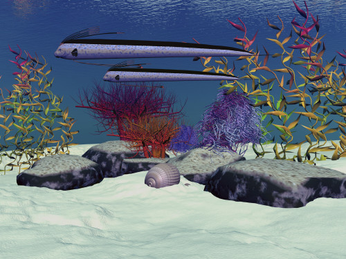 Exotic fish swim over a colorful reef Poster Print - Item # VARPSTCFR300041U