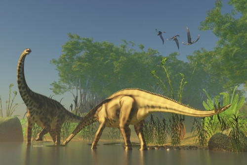 Spinophorosaurus dinosaurs grazing the inhabited swamps of the Jurassic period. Poster Print - Item # VARPSTCFR200227P