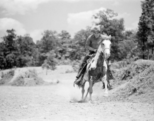 Cowboy horseback riding Poster Print - Item # VARSAL255421845