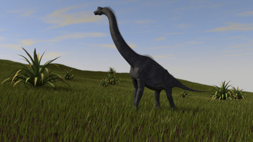 Brachiosaurus grazing in a grassy field Poster Print - Item # VARPSTKVA600794P