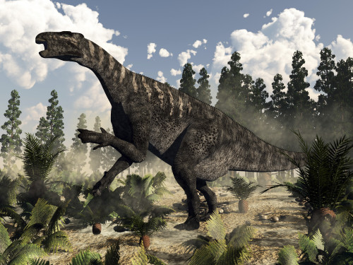 Iguanodon dinosaur roaring while surrounded by ferns, cycas and wollemia plants Poster Print - Item # VARPSTEDV600332P