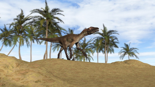 A Utahraptor walking in a prehistoric environment Poster Print - Item # VARPSTKVA600695P