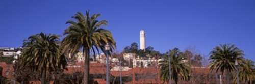 http://c328301.r1.cf1.rackcdn.com/PPI146852S.jpg