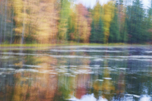 Blurred autumn coloured trees along the shoreline reflected in a tranquil river; Ontario, Canada PosterPrint - Item # VARDPI12294978