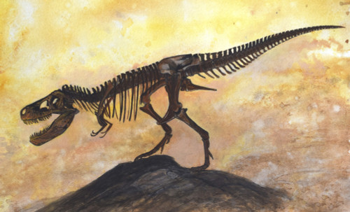 Tyrannosaurus rex dinosaur skeleton on textured background Poster Print - Item # VARPSTHPT600004P