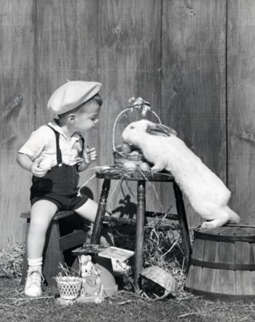 Boy looking at rabbit reaching for Easter eggs Poster Print