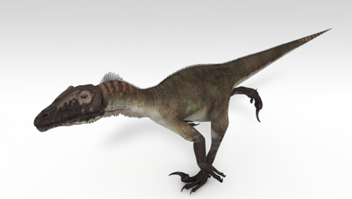 Utahraptor dinosaur, white background Poster Print - Item # VARPSTKVA600775P
