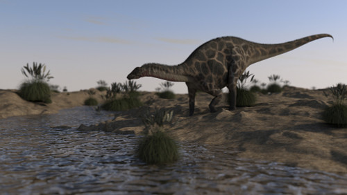 Dicraeosaurus grazing near a spring Poster Print - Item # VARPSTKVA600817P