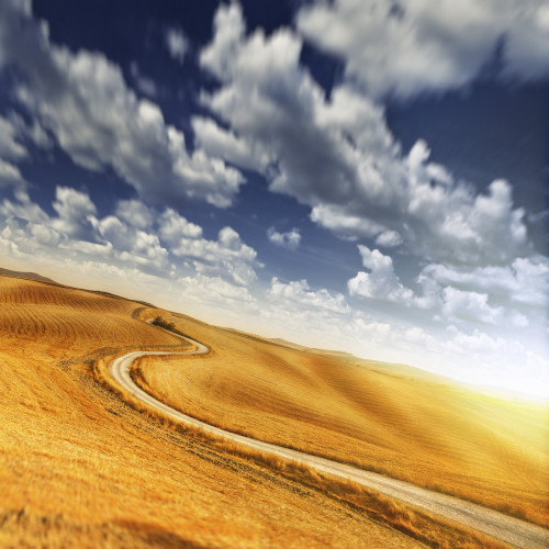 A country road in field against moody sky, Tuscany, Italy Poster Print - Item # VARPSTEVK200226S