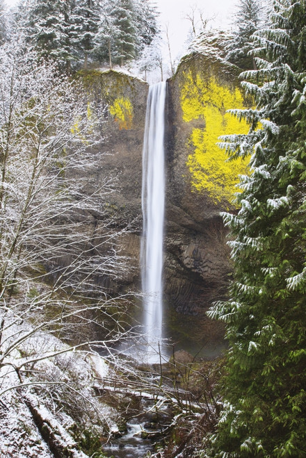 Snow Adds Beauty To Latourell Falls, Columbia River Gorge National Scenic Area; Oregon, United States Of America PosterPrint - Item # VARDPI1928640