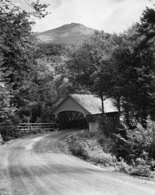 Covered bridge in a forest  Flume Bridge  Franconia Notch State Park  New Hampshire  USA Poster Print - Item # VARSAL25522246