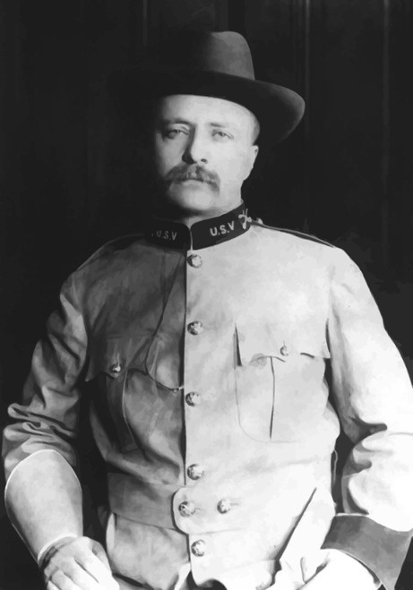 Digitally restored vector portrait of Colonel Theodore Roosevelt Poster Print - Item # VARPSTJPA100034M