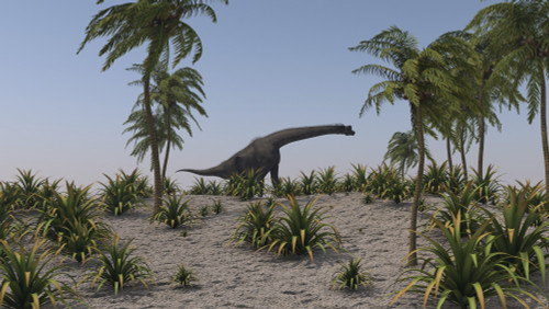 Large Brachiosaurus grazing Poster Print - Item # VARPSTKVA600520P