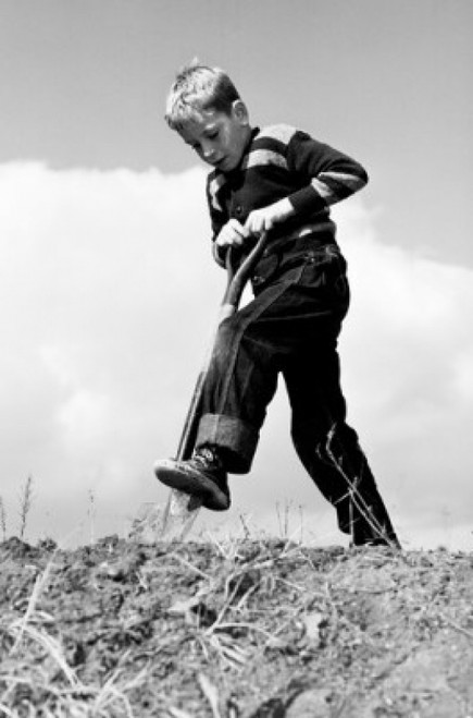 Boy digging with shovel Poster Print - Item # VARSAL255416996