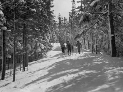 USA  New Hampshire  Mount Washington  Sherburne Ski Trail Poster Print - Item # VARSAL255418781 USA  New Hampshire  Mount Washington  Sherburne Ski Trail Poster Print - Item # VARSAL255418781
