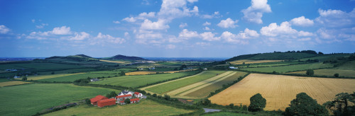 High Angle View Of Fields, Stradbally, County Laois, Republic Of Ireland PosterPrint - Item # VARDPI1799818