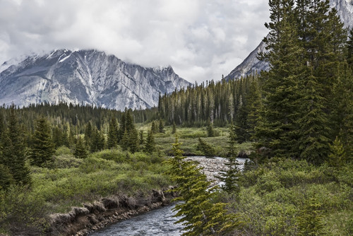 Stormy skies over mountain, Kananaskis country; Alberta, Canada PosterPrint - Item # VARDPI12290224