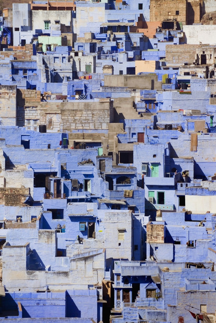 Blue Buildings Of Jodhpur, Aerial View PosterPrint