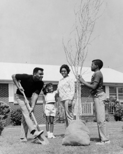 Family planting a tree Poster Print - Item # VARSAL25519352